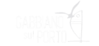 Gabbiano sul Porto